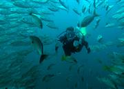 Na Kostarice je mnoho potápěčských základen
