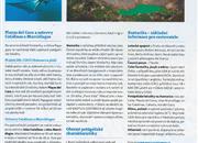 Článek o potápění v Kostarice v magazínu Buddy