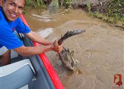 Průvodce na Río Tárcoles drží volně žijícího krokodýla za ocas