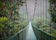 Procházka po zavešených mostech v Monteverde