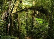 Narodní park Monteverde